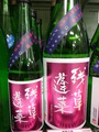 DSC01489.JPG